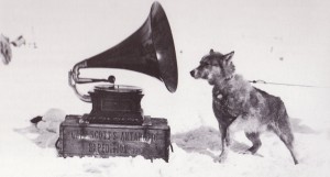 Sled_dog_and_gramophone_-_Terra_Nova_Expedition